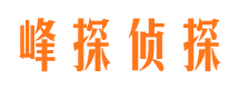 西林侦探公司